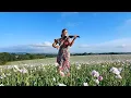 Stand By Me - Ben E. King - Electric Violin Cover - Barbara Krajewska