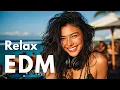 Download Lagu 【EDM Relax #3】Soft Beats That Touch the Soul 🎧 Chill Lo-Fi Vibes | Focus / Study / Relax Playlist