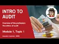 2020 audit lecture series - Module 1 Topic 1