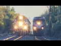 Trains On Metra s UP-NW Line FT Train Races METX 90 and METX 104 Horn Battles More - 25