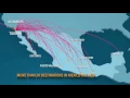What is Cross Border Xpress CBX