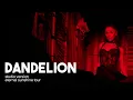 Ariana Grande - dandelion (Studio Version) (Live from the Eternal Sunshine Tour) 
