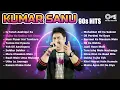 Lagu Kumar Sanu Hit Songs | 90s Superhit Hindi Romantic Songs | Sadabahar Song | Bollywood Songs Jukebox