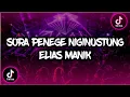 Download Lagu SORA PENEGE NI GINUSTUNG || DJ PAKPAK TERBARU ELIAS MANIK