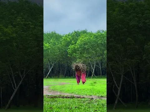 Monsoon
