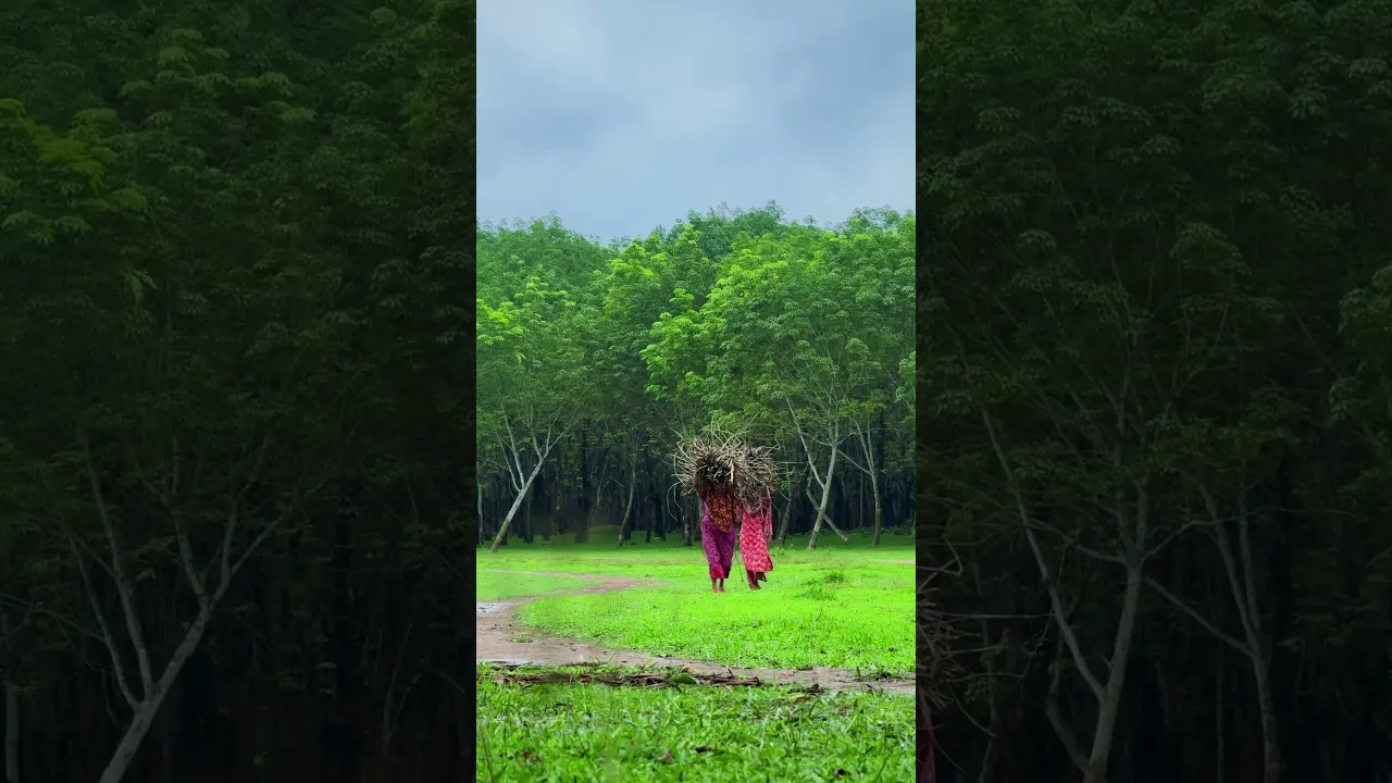 Monsoon