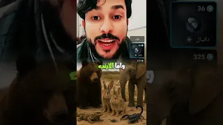 الحيوانات الممسوخة عند الشيعة مع الشيخ علاء المهدوي الشيخ علاء المهدوي 