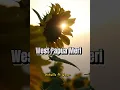 West Papua Meri -_- Hotwills ft Wagon_ PNG MUSIK 2023