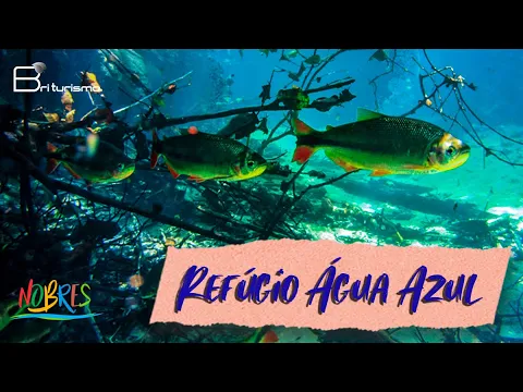 Download MP3 Refúgio Água Azul - Bom Jardim Nobres - MT