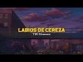 Labios De Cereza 🍒 | T3R Elemento | VIDEO LETRA/LYRICS OFICIAL