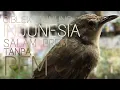 Download Lagu CIBLEK GUNUNG BREM TEMBAK MATI GELOMBANG