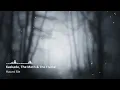 Kaskade, The Moth & The Flame - Haunt Me