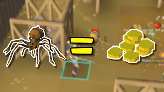 Fever Spiders Are CRAZY Money OSRS