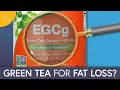 Download Lagu Green Tea for Fat Loss: Does It Work?