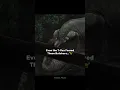 Download Lagu Even T-Rex Thought Thrice... #trex #dinosaur #spinosaurus #quetzalcoatlus #horror