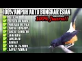 Lagu 100% AMPUH AUTO EMOSI DENGAN TEMBAKAN MURAI BATU ISIAN CILILIN LOVEBIRD KENARI KAPAS TEMBAK DLL