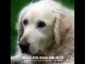 Loving Your Pet - Pet Music World