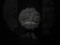 Download Lagu Kamin ( slowed \u0026 reverb ) - EMIN \u0026 JONY | #kamin #emin #jony #russiansong