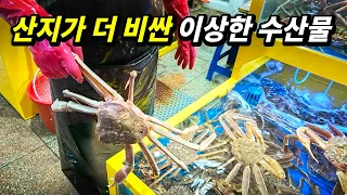"운송비도 안 드는데 왜 더 비쌀까?" 9월에 산지가서 먹으면 바보되는 수산물