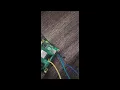 Send an Email on Button Press with Raspberry Pi 5 Using Python
