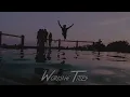 Jay Hardway - Golden Pineapple