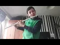 FLUTE COVER