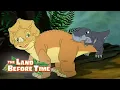 Cera doesn t like Chomper The Land Before Time