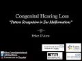INNER EAR MALFORMATIONS PATTERN RECOGNITION FOR RADIOLOGISTS