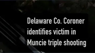 Muncie Triple Shooting