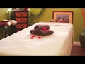 The Best Aloha Led Massage on Oahu Professional team service
