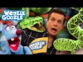 Lagu Welche ist die größte Schlange der Welt? l WOOZLE GOOZLE
