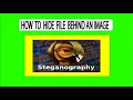 How do i hide a file behind an image Stegenography