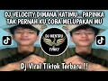 Lagu DJ DIMANA HATIMU - PAPINKA || TAK PERNAH KU COBA MELUPAKAN MU VIRAL TIKTOK TERBARU 2025