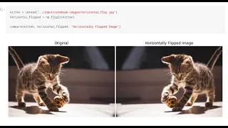 Full Tutorial On Image Processing In Skimage