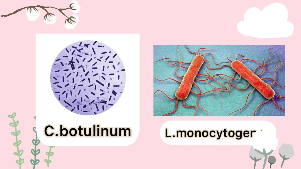 MIC500- ROLE OF BIOPRESERVATION IN IMPROVING FOOD SAFETY AND STORAGE