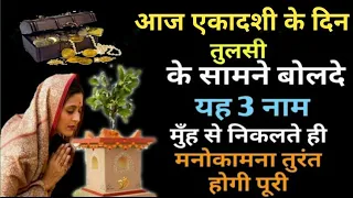 आज शनिवारी एकादशी पर चढ़ा दें एक चीज बोलदे 3 शब्द मुँह से निकलते ही मनोकामना पूरी Ekadashi2023
