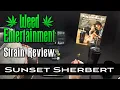 Sunset Sherbert - Hybrid