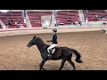 Trick or trot 2025 pt 4
