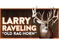 The Larry Raveling Buck aka Old Rag Horn