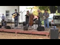 Sitting in on Earl s Breakdown with the Korey Brodsky Band at Ben Freed s memorial