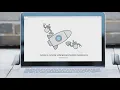 Canvas cyberattack hits Katy ISD HISD and universities