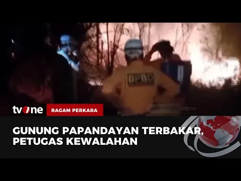 Hutan Lindung Gunung Papandayan Terbakar Hebat! Jalur Pendakian Ditutup