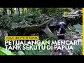 Download Lagu Jejak Sejarah: Tank Sekutu yang Ditemukan di Tengah Hutan Papua - National Geographic Indonesia