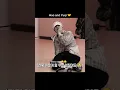 Download Lagu Meanwhile Hao and Yuqi 🤝😂 | Zhang Hao x Yuqi 🤭 #kpop