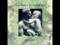 Will Of The Wind (Album Version)