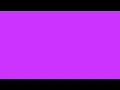 12Hrs of Solid Neon Purple