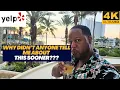 Why you should become YELP ELITE A Complete Guide and Honest Review of the Program