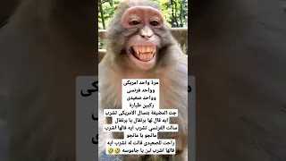 نكت بايخة هههههه 