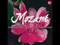 Violin Concerto No. 5 in A major, K. 219: II. Adagio