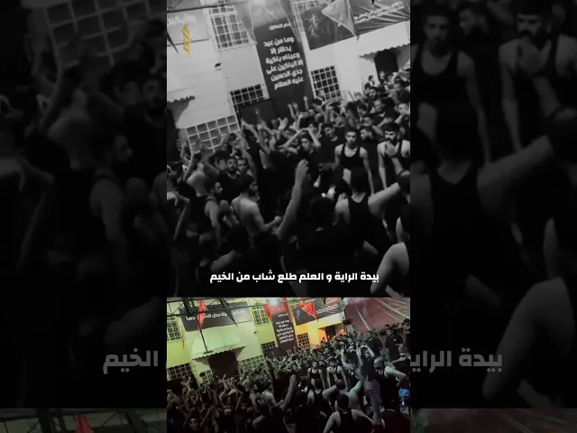 ⁣بيدة الراي و العلم - #حيدر_الحلواجي